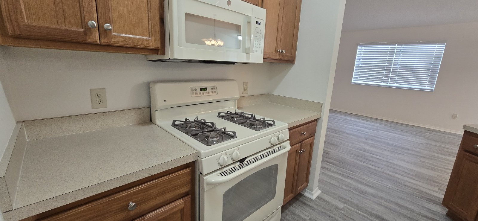 1009 Ridgeville Rd property image