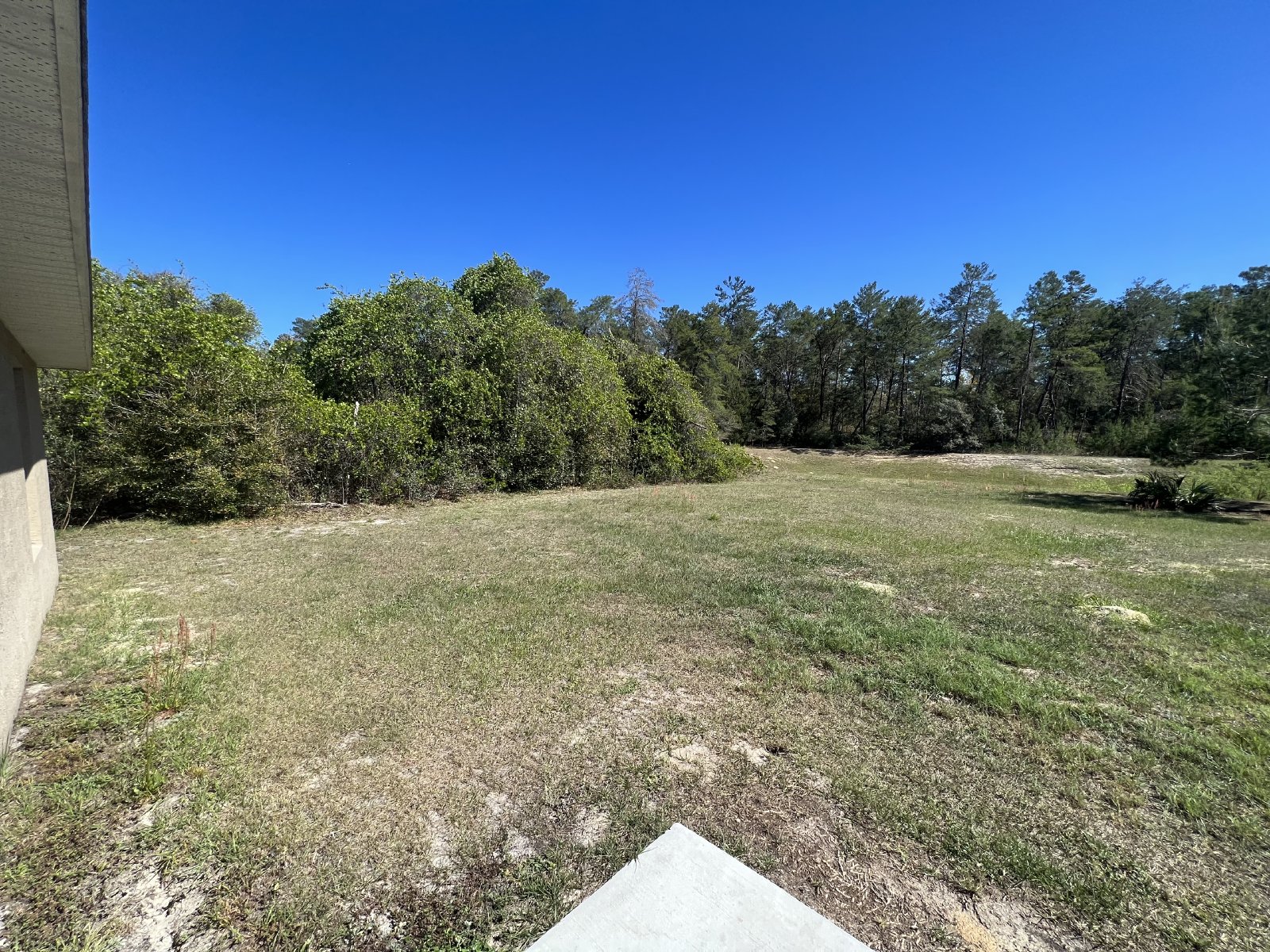 17184 SW 44th Cir property image