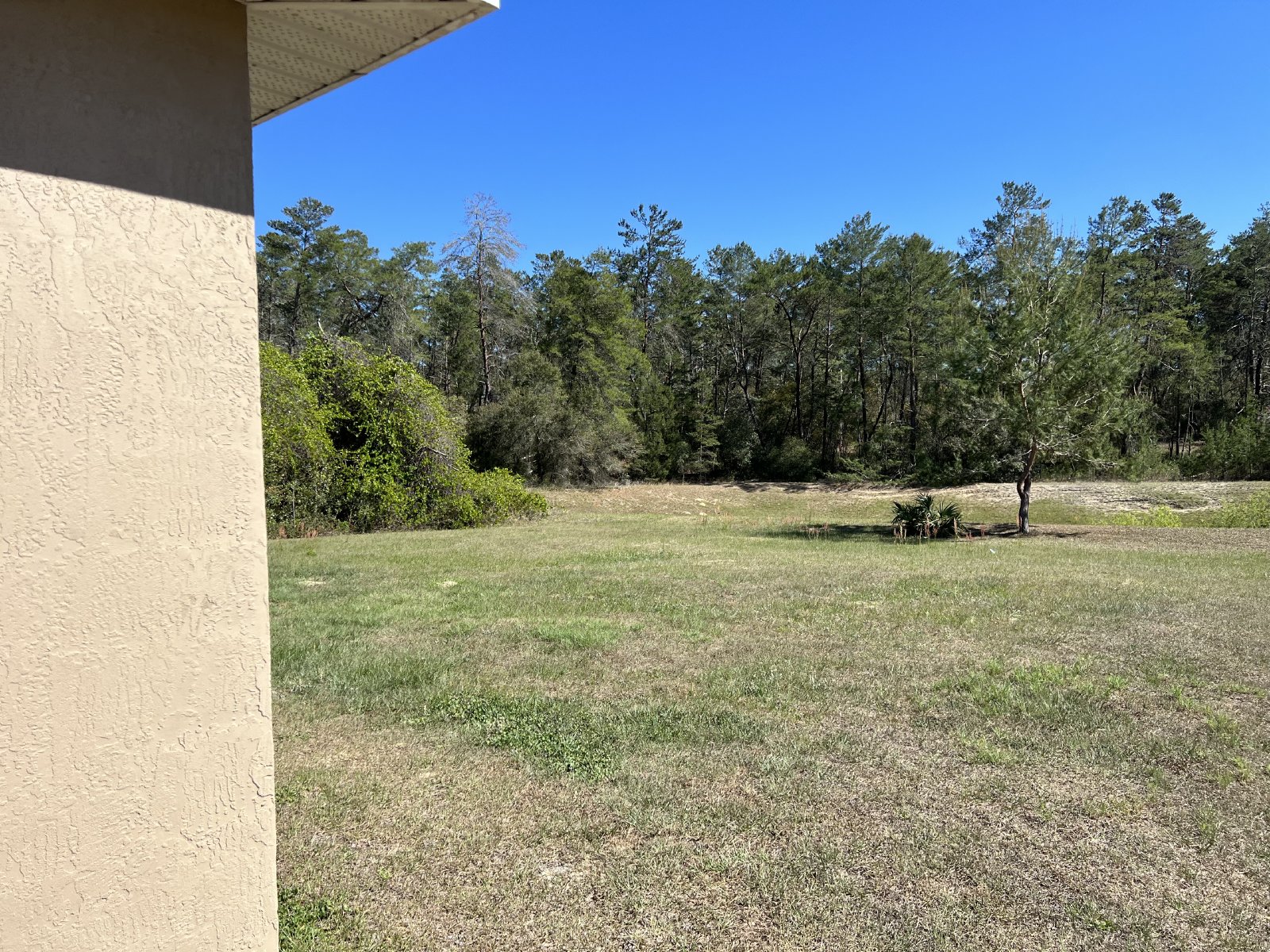 17184 SW 44th Cir property image